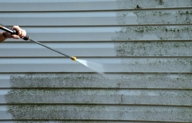 Best Gutter Cleaning  in Edgewater, FL